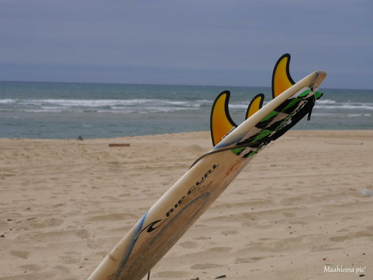 Au Coeur Du Bassin D'Arcachon Lejlighed Gujan-Mestras Eksteriør billede