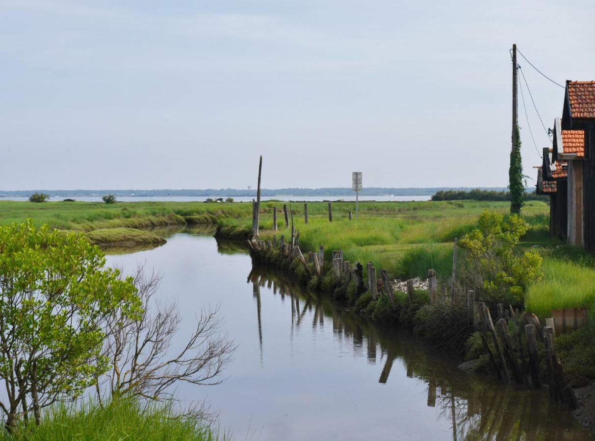 Au Coeur Du Bassin D'Arcachon Lejlighed Gujan-Mestras Eksteriør billede